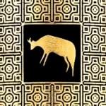 casadelasespecias profile picture