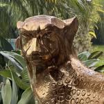 casaghepardo profile picture