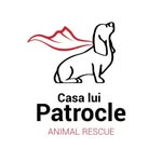 casaluipatrocle profile picture