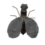 casamosca profile picture