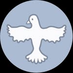 casatrancosoimoveis profile picture