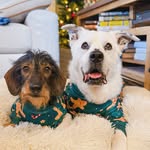casey.meets.sid profile picture