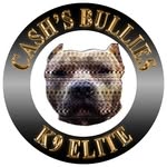 cashsbullies profile picture