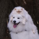 casperandromeo profile picture