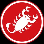 castellicycling profile picture