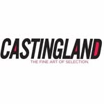 castingland_miami profile picture