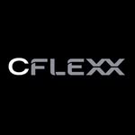 castleflexx profile picture