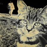 cataclysmartec profile picture