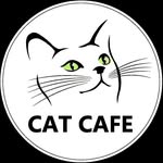 catcafelviv profile picture