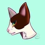 catcastle.nyc profile picture