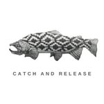 catch_and_releasee profile picture