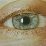 catchmyfocus profile picture
