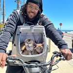 catdaddyy2 profile picture