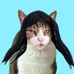 catfilhos profile picture