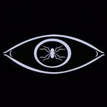 catfullofspiders profile picture