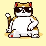 catkindom profile picture