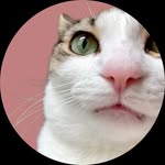 cat_named_greg profile picture