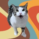 catnamedroswell profile picture