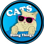 catsdoingthings