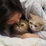 catsimba_milktea profile picture