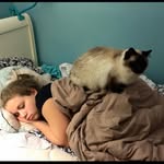 cat_slap_a_bitch profile picture