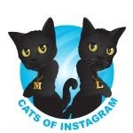 cats_of_instagram