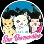 catsofsanbernardino profile picture