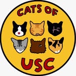 catsofusc profile picture