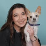 catthedoggroomerr profile picture