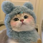 caty.girle profile picture