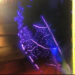 caustic_optic profile picture