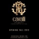 cavallimiami profile picture