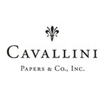 cavallinipapers profile picture
