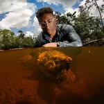 cavemanwildlife profile picture