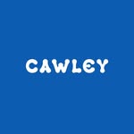 cawleystudio profile picture