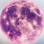 caxap.16 profile picture