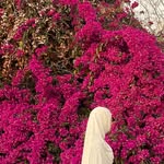 cbdl._ profile picture