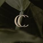 ccrooftop profile picture
