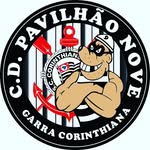 cdpavilhao9 profile picture
