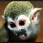cecilion profile picture