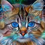 cecyarematt profile picture