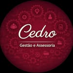 cedrogestao profile picture