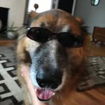ceeblues profile picture