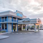 celebration_suites profile picture
