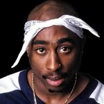 celebritywordd profile picture