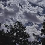 celestial._ll profile picture