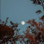 celestial_vibe_11 profile picture