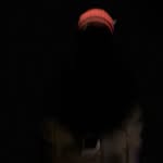 celestiq_17 profile picture