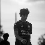celis.emmanuel19 profile picture