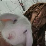cellnotrealll profile picture